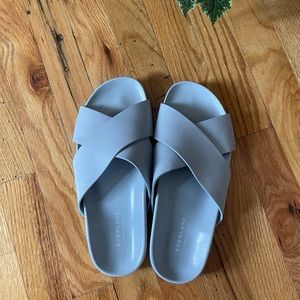 Pale Blue Leather Everlane Sandals